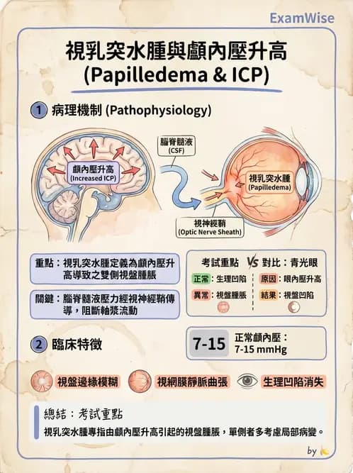 驗光師 - 斜弱視與神經眼科 - AI 圖文解析預覽