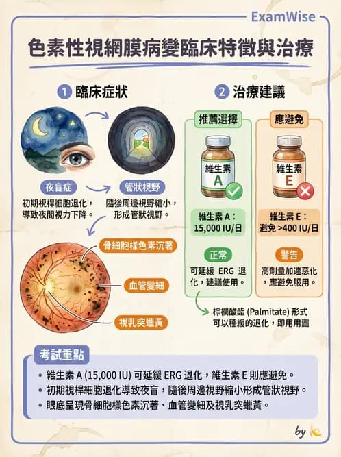 驗光師 - 遺傳性視網膜及色素疾病 - AI 圖文解析預覽