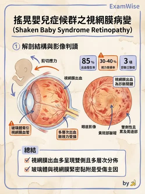 驗光師 - 血管阻塞、甲狀腺眼疾與其他全身性眼病變 - AI 圖文解析預覽