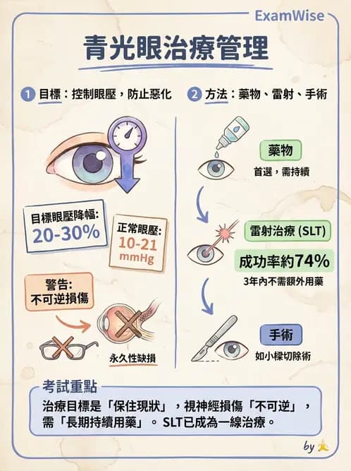 驗光師 - 青光眼診斷與治療 - AI 圖文解析預覽