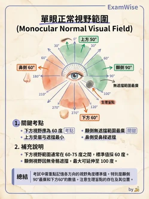 驗光師 - 視野評估與特殊族群檢查 - AI 圖文解析預覽