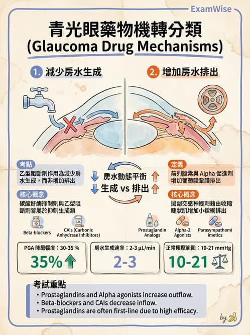 驗光師 - 青光眼診斷與治療 - AI 圖文解析預覽