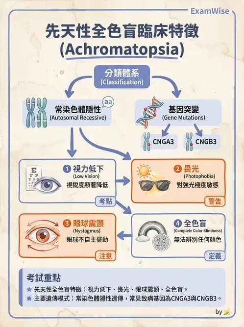 驗光師 - 老年性黃斑部及眼部退化疾病 - AI 圖文解析預覽