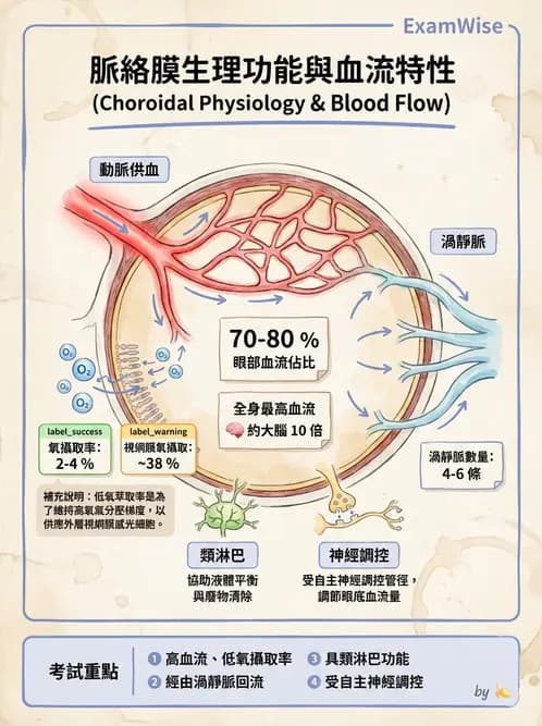 驗光師 - 眼球中層與前房 - AI 圖文解析預覽