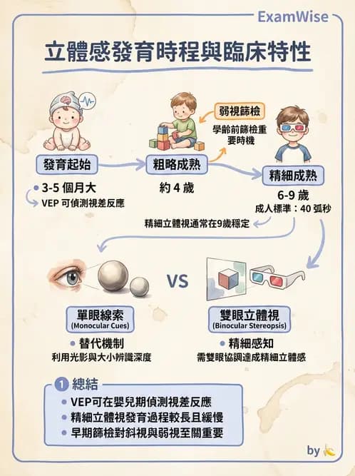 驗光師 - 視覺生理與檢查 - AI 圖文解析預覽