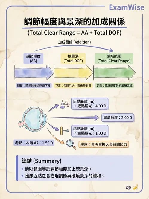 驗光師 - 景深、加入度與老花矯正 - AI 圖文解析預覽
