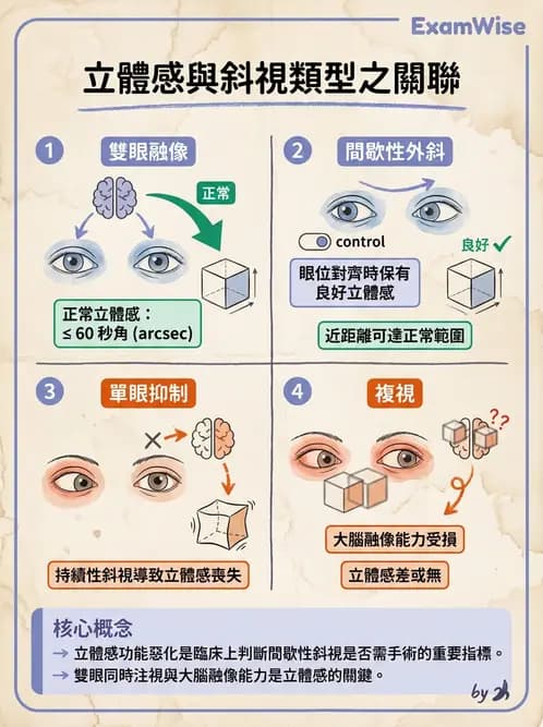 驗光師 - 調節功能與立體視融像評估 - AI 圖文解析預覽