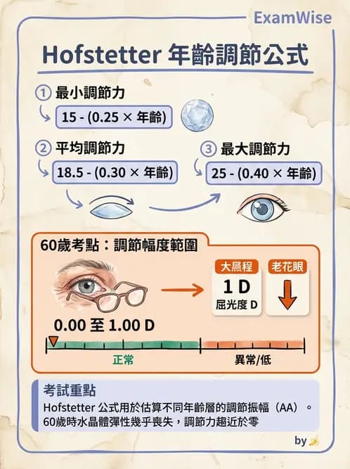 驗光師 - 調節功能與立體視融像評估 - AI 圖文解析預覽