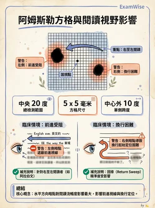 驗光師 - 視野評估與特殊族群檢查 - AI 圖文解析預覽