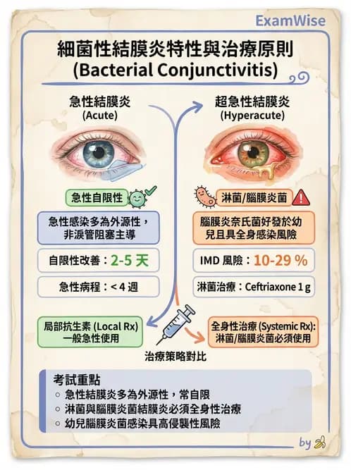 驗光師 - 感染性角結膜炎 - AI 圖文解析預覽