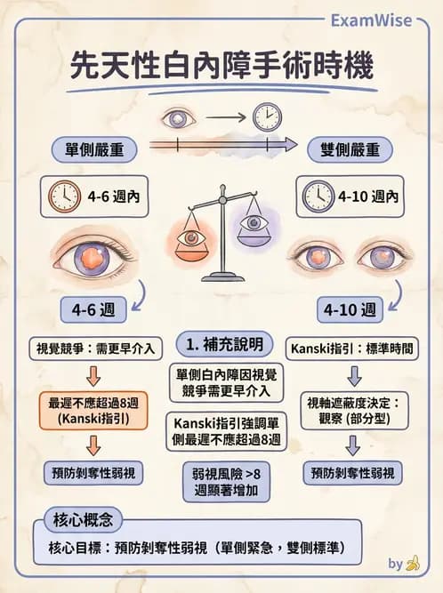驗光師 - 水晶體疾病 - AI 圖文解析預覽