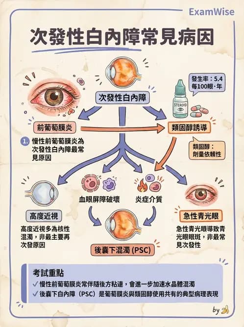 驗光師 - 水晶體疾病 - AI 圖文解析預覽