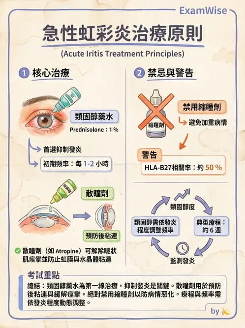 驗光師 - 葡萄膜炎與免疫相關眼病變 - AI 圖文解析預覽