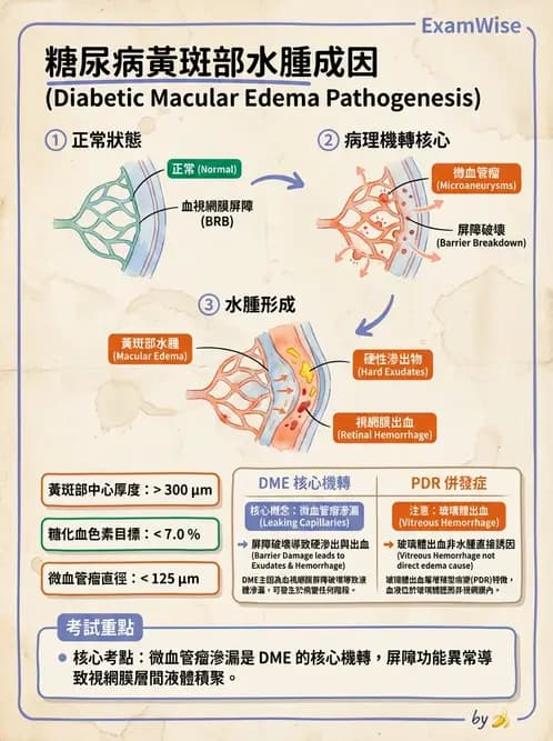 驗光師 - 糖尿病眼部病變 - AI 圖文解析預覽