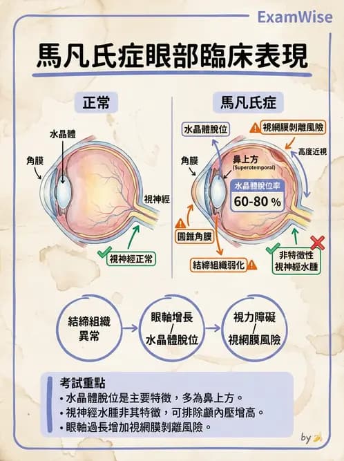驗光師 - 血管阻塞、甲狀腺眼疾與其他全身性眼病變 - AI 圖文解析預覽