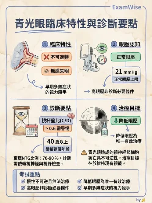 驗光師 - 青光眼分類、病因與危險因子 - AI 圖文解析預覽