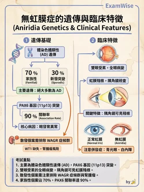 驗光師 - 遺傳性視網膜及色素疾病 - AI 圖文解析預覽