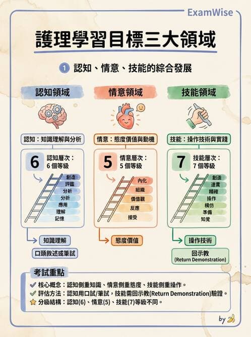護理師 - 護理紀錄與衛教 - AI 圖文解析預覽