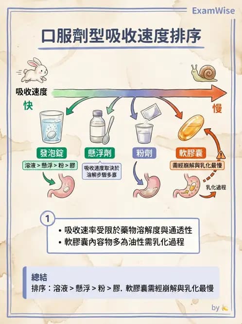 護理師 - 給藥原則與口服給藥 - AI 圖文解析預覽