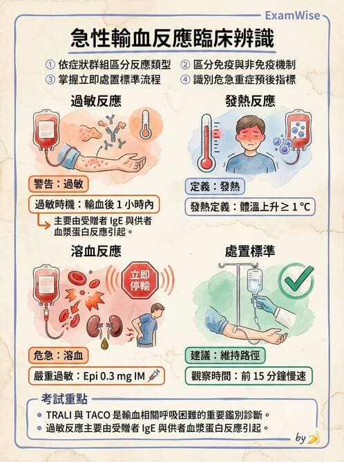 護理師 - 輸血與藥物計算 - AI 圖文解析預覽
