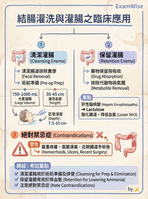 護理師 - 腸道排泄與灌腸護理 - AI 圖文解析預覽