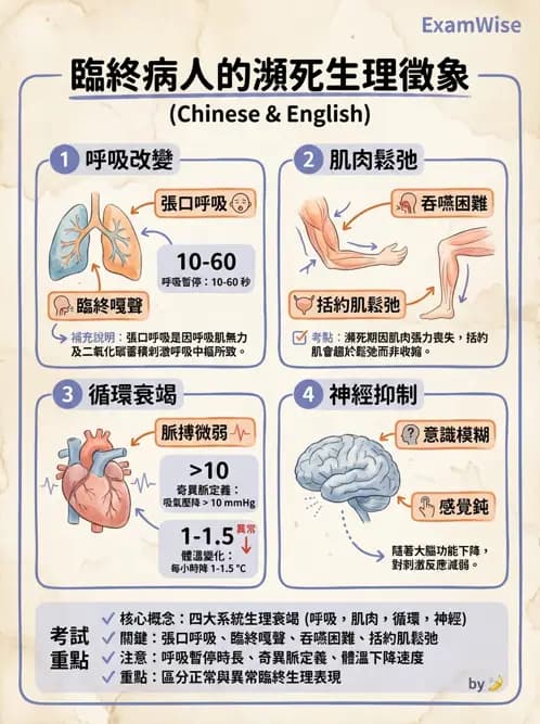 護理師 - 臨終與哀傷護理 - AI 圖文解析預覽