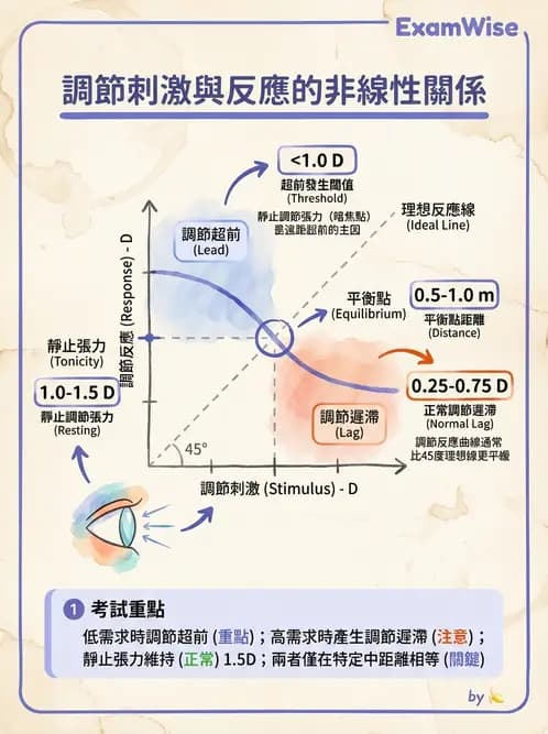 驗光師 - 調節功能異常與處置 - AI 圖文解析預覽