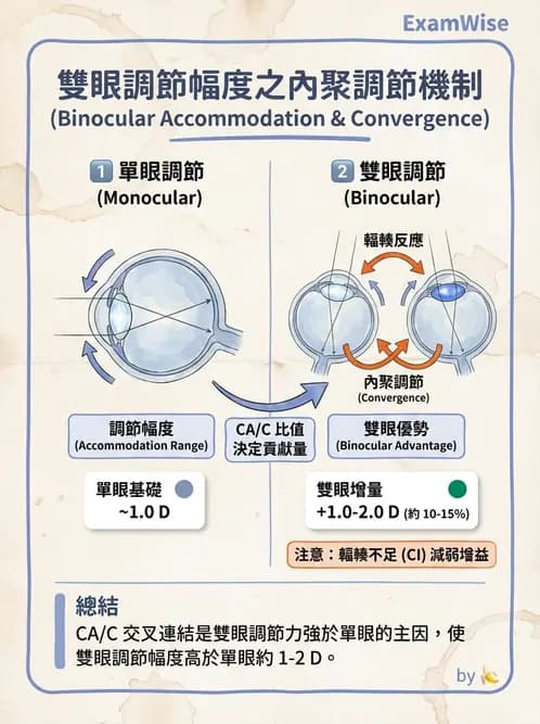 驗光師 - 調節功能與立體視融像評估 - AI 圖文解析預覽