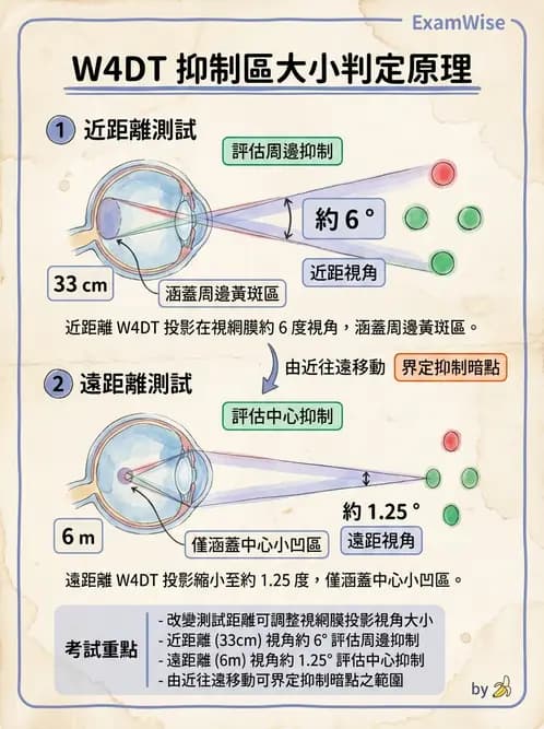 驗光師 - 調節功能與立體視融像評估 - AI 圖文解析預覽