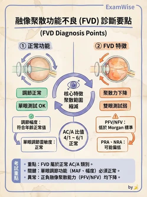 驗光師 - 水平聚散功能異常 - AI 圖文解析預覽