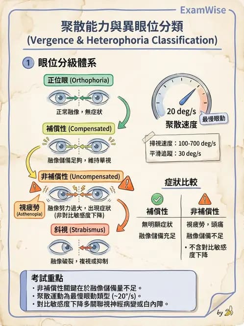 驗光師 - 調節性內聚力與聚散功能檢測 - AI 圖文解析預覽