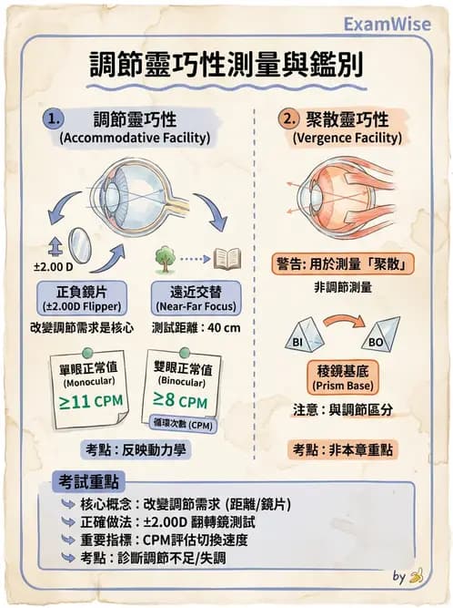 驗光師 - 調節功能與立體視融像評估 - AI 圖文解析預覽