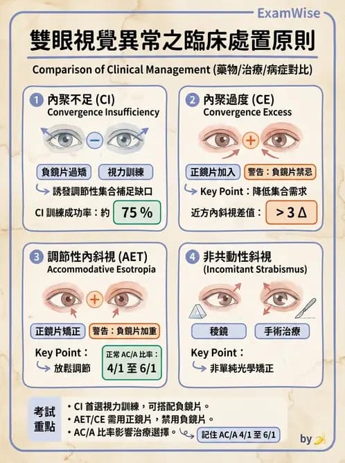 驗光師 - 斜視 - AI 圖文解析預覽