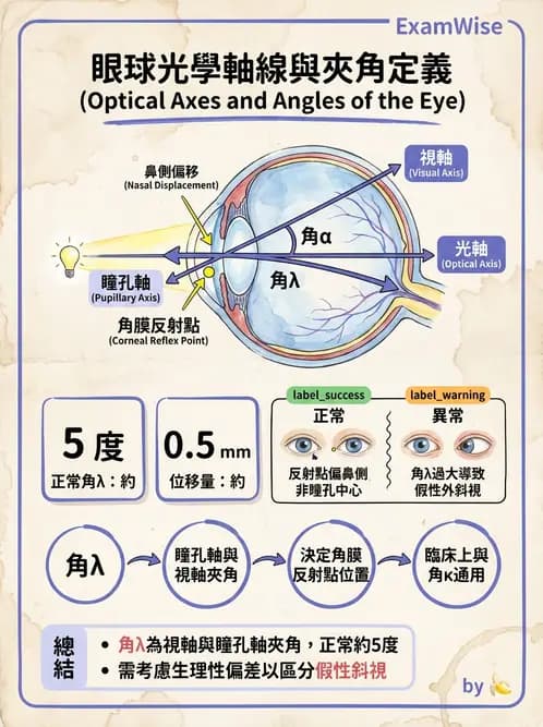 驗光師 - 眼外肌運動與眼位初步檢查 - AI 圖文解析預覽