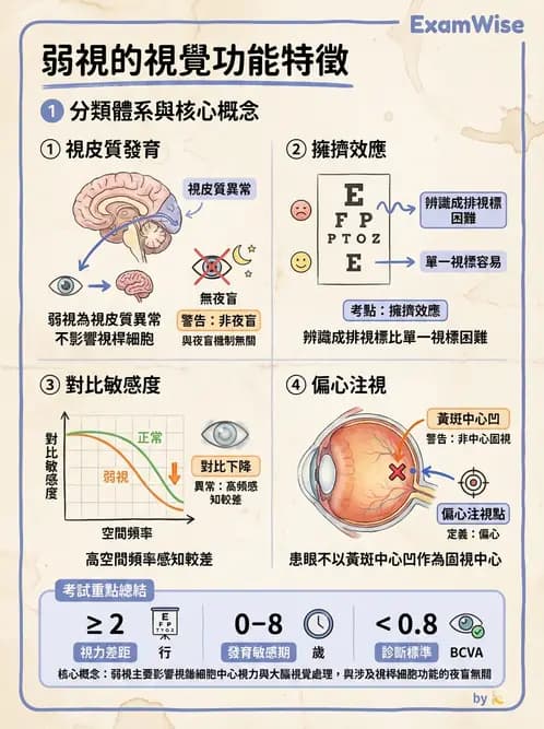 驗光師 - 弱視 - AI 圖文解析預覽