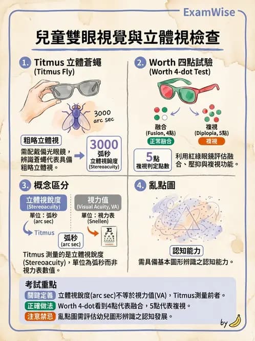 驗光師 - 視野評估與特殊族群檢查 - AI 圖文解析預覽