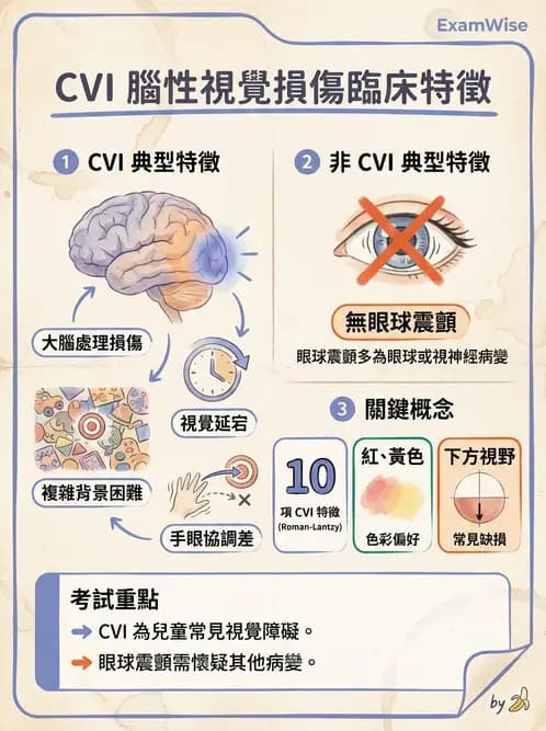 驗光師 - 視野評估與特殊族群檢查 - AI 圖文解析預覽