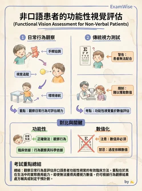 驗光師 - 視野評估與特殊族群檢查 - AI 圖文解析預覽