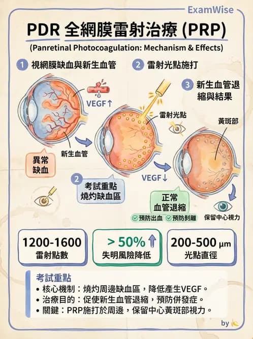 驗光師 - 糖尿病眼部病變 - AI 圖文解析預覽