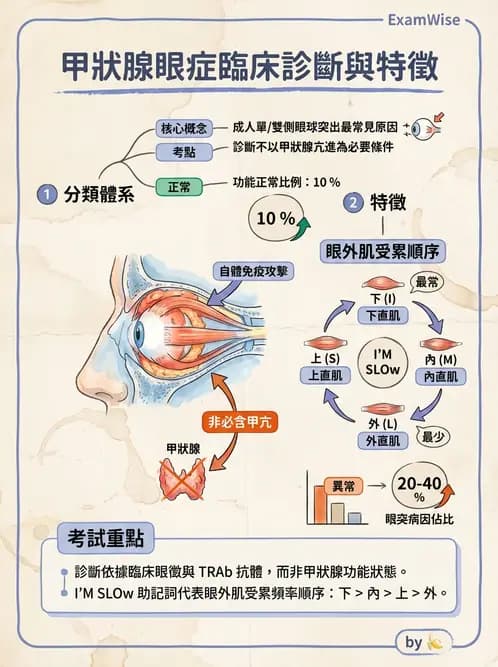 驗光生 - 全身性疾病眼部表現與神經眼科 - AI 圖文解析預覽