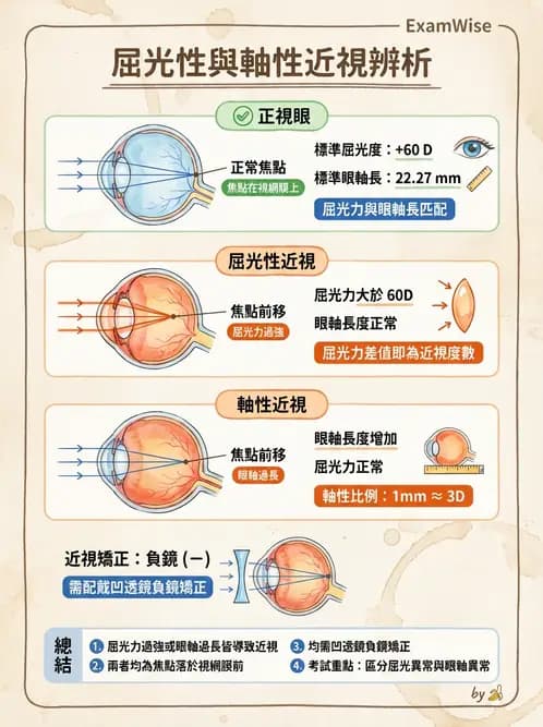 驗光生 - 近視與遠視的分類、成因及眼球光學基礎 - AI 圖文解析預覽