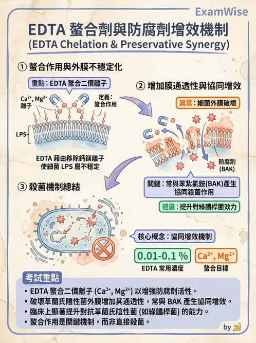 驗光生 - 隱形眼鏡護理液成分與防腐劑 - AI 圖文解析預覽