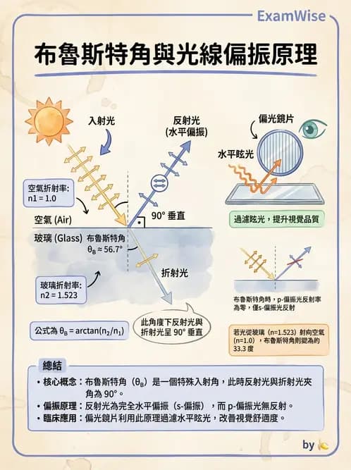 驗光生 - 偏振光、色散與色像差 - AI 圖文解析預覽