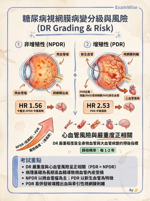 驗光生 - 視網膜與玻璃體疾病 - AI 圖文解析預覽