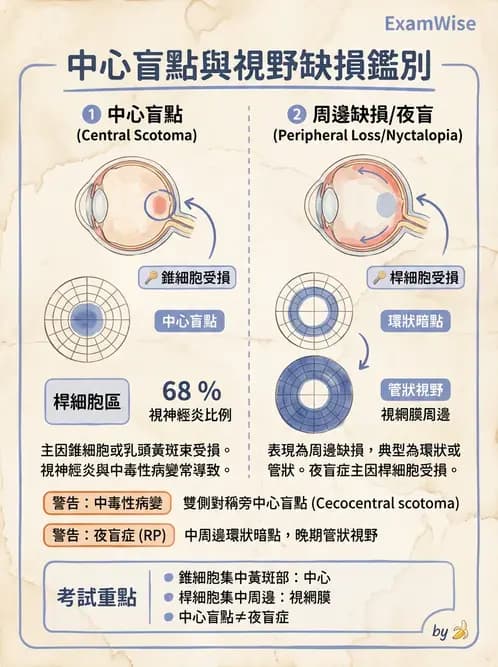 驗光生 - 全身性疾病眼部表現與神經眼科 - AI 圖文解析預覽