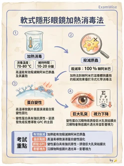 驗光生 - 隱形眼鏡消毒系統與感染控制 - AI 圖文解析預覽