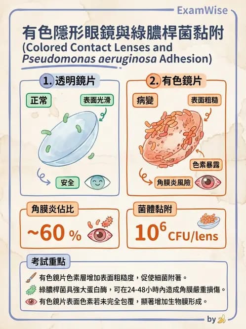 驗光生 - 感染性與炎症性角膜結膜炎 - AI 圖文解析預覽
