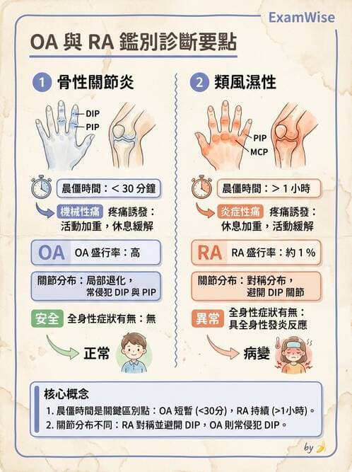 護理師 - 關節疾病與骨科手術 - AI 圖文解析預覽