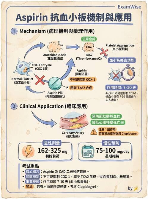 護理師 - 冠狀動脈疾病與心肌梗塞 - AI 圖文解析預覽