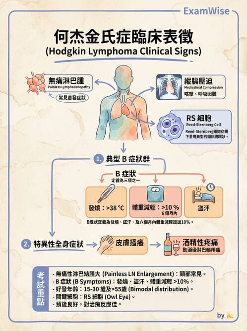護理師 - 血液腫瘤疾病 - AI 圖文解析預覽